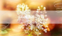 koko加速器ios下载