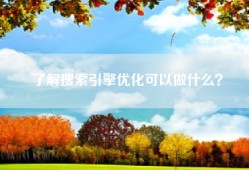 了解搜索引擎优化可以做什么？