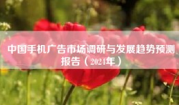 中国手机广告市场调研与发展趋势预测报告（2024年）