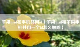 苹果ipad和手机共用id（苹果ipad和苹果手机共用一个id怎么解除）