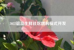 2022谊品生鲜社区团购模式开发