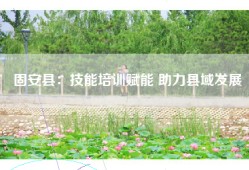 固安县：技能培训赋能 助力县域发展