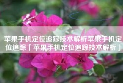 苹果手机定位追踪技术解析苹果手机定位追踪「苹果手机定位追踪技术解析」