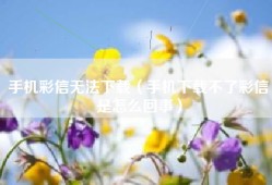 手机彩信无法下载（手机下载不了彩信是怎么回事）