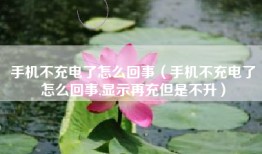 手机不充电了怎么回事（手机不充电了怎么回事,显示再充但是不升）