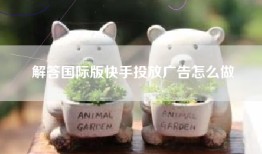 解答国际版快手投放广告怎么做