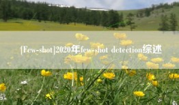 [Few-shot]2020年few-shot detection综述