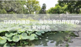 刀刃向内提效——海东检察召开年度办案分析会