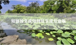 短链接生成短网址生成专业版