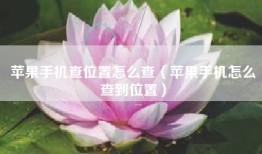 苹果手机查位置怎么查（苹果手机怎么查到位置）