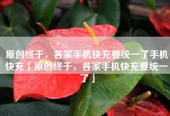 原创终于，各家手机快充要统一了手机快充「原创终于，各家手机快充要统一了」