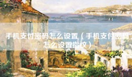 手机支付密码怎么设置（手机支付密码怎么设置指纹）