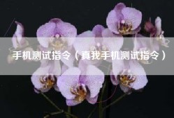 手机测试指令（真我手机测试指令）