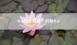 Web安全防御之初探WAF