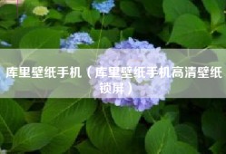 库里壁纸手机（库里壁纸手机高清壁纸 锁屏）