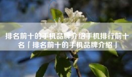 排名前十的手机品牌介绍手机排行前十名「排名前十的手机品牌介绍」