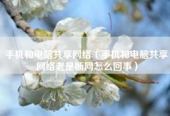 手机和电脑共享网络（手机和电脑共享网络老是断网怎么回事）