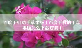 百度手机助手苹果版（百度手机助手苹果版怎么下载安装）