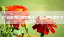 4个百度高级搜索指令，让法律检索事半功倍