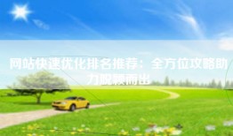 网站快速优化排名推荐：全方位攻略助力脱颖而出