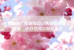 Ai+网盘推广拉新项目，含授权推广详细教程，小白也可以轻松上手