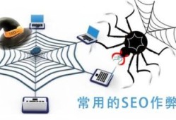 百度蜘蛛池引流：辽宁搜狗蜘蛛池租用，助力企业SEO优化，提升网站流量与排名