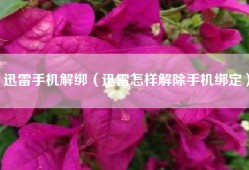 迅雷手机解绑（迅雷怎样解除手机绑定）