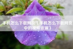 手机怎么下载网页（手机怎么下载网页中的视频资源）