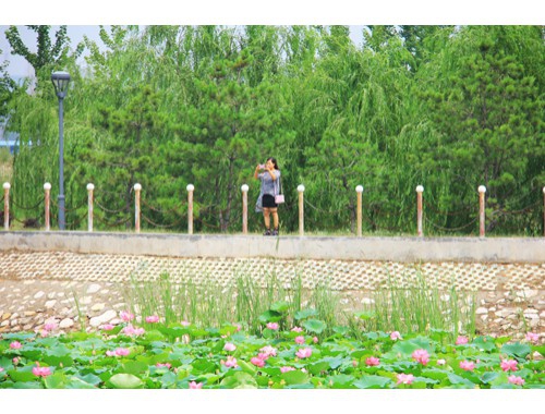 南京买房哪些楼盘更有实力？南京商住楼精装修房一室值得关注!