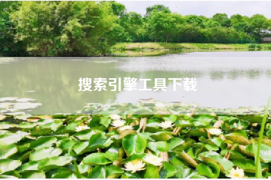 搜索引擎工具下载