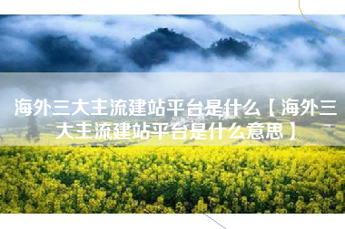 海外三大主流建站平台是什么【海外三大主流建站平台是什么意思】