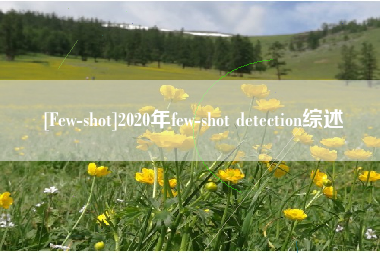 [Few-shot]2020年few-shot detection综述