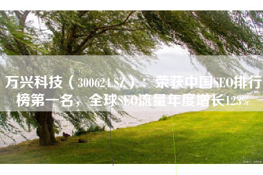 万兴科技（300624.SZ）：荣获中国SEO排行榜第一名，全球SEO流量年度增长123%
