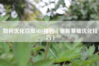 如何优化百度SEO排名（掌握基础优化技巧）