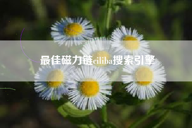 最佳磁力链ciliba搜索引擎