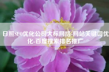 日照SEO优化公司大标网络-网站关键词优化-百度搜索排名推广