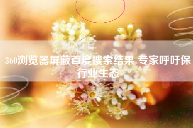 360浏览器屏蔽百度搜索结果 专家呼吁保行业生态