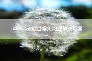 JsonSrcGen 项目常见问题解决方案