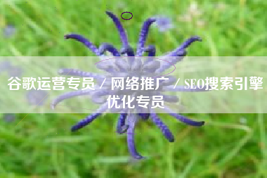 谷歌运营专员／网络推广／SEO搜索引擎优化专员