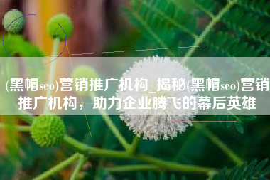 (黑帽seo)营销推广机构_揭秘(黑帽seo)营销推广机构，助力企业腾飞的幕后英雄
