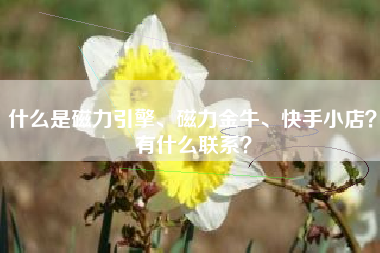 什么是磁力引擎、磁力金牛、快手小店？有什么联系？