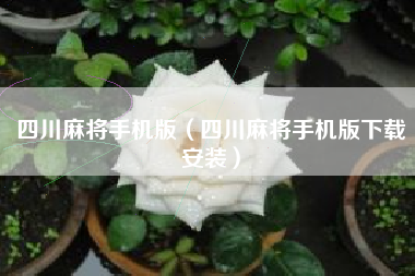 四川麻将手机版（四川麻将手机版下载安装）