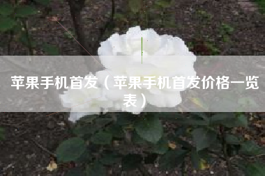 苹果手机首发（苹果手机首发价格一览表）