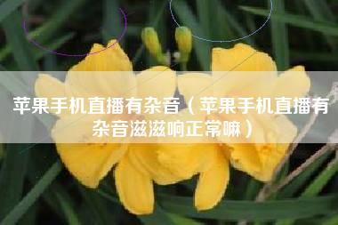 苹果手机直播有杂音（苹果手机直播有杂音滋滋响正常嘛）
