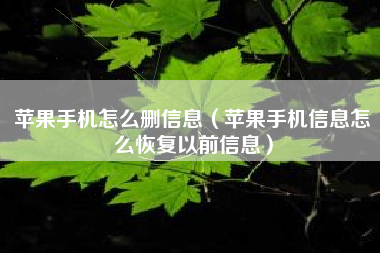 苹果手机怎么删信息（苹果手机信息怎么恢复以前信息）