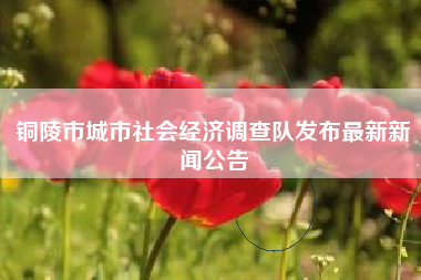 铜陵市城市社会经济调查队发布最新新闻公告