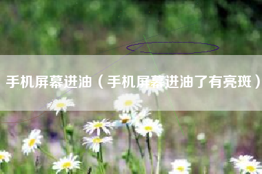 手机屏幕进油（手机屏幕进油了有亮斑）