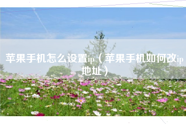 苹果手机怎么设置ip（苹果手机如何改ip地址）