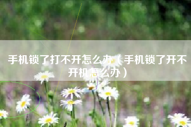 手机锁了打不开怎么办（手机锁了开不开机怎么办）