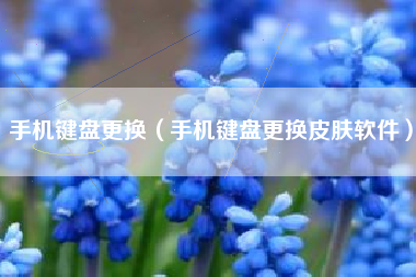 手机键盘更换（手机键盘更换皮肤软件）